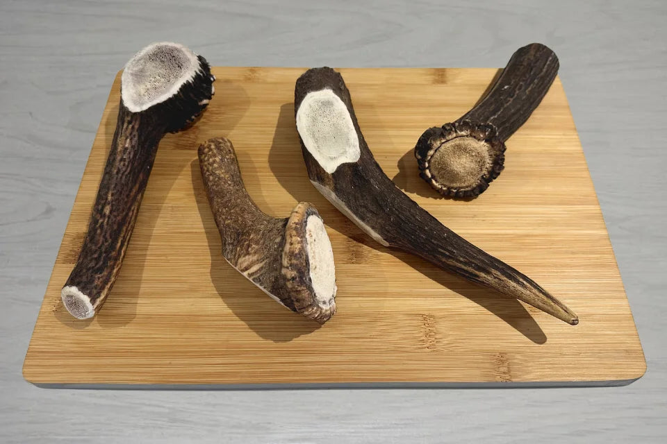 Antler Chew