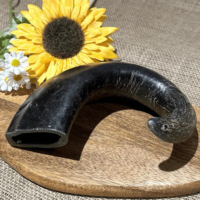 Buffalo Horn