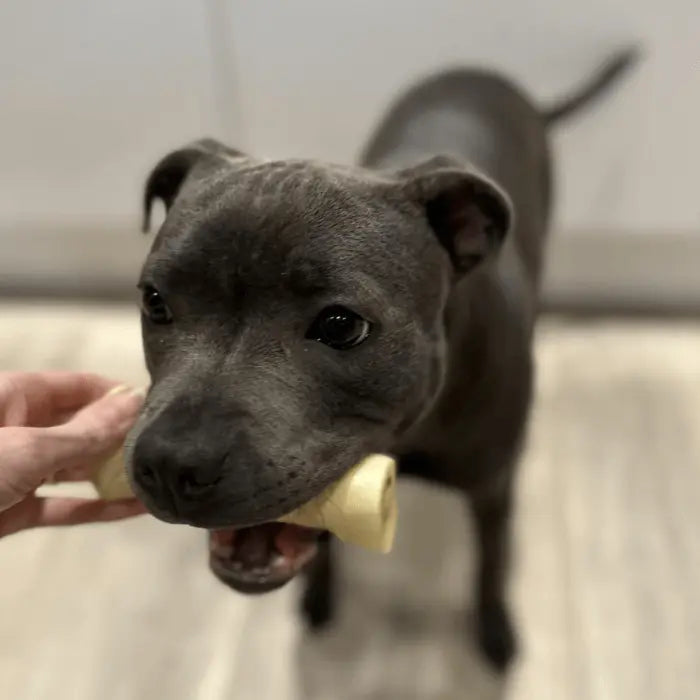 Customer with Bully Roll