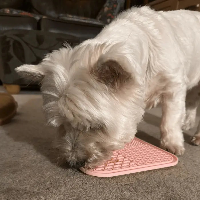 Customer with Lick Mat