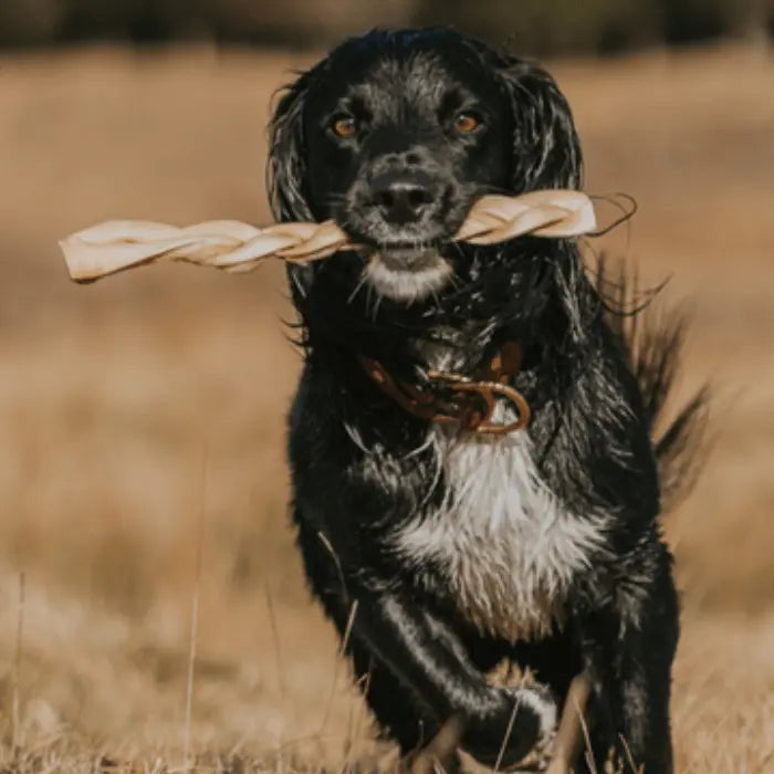 Dog with Beef Braid Large
