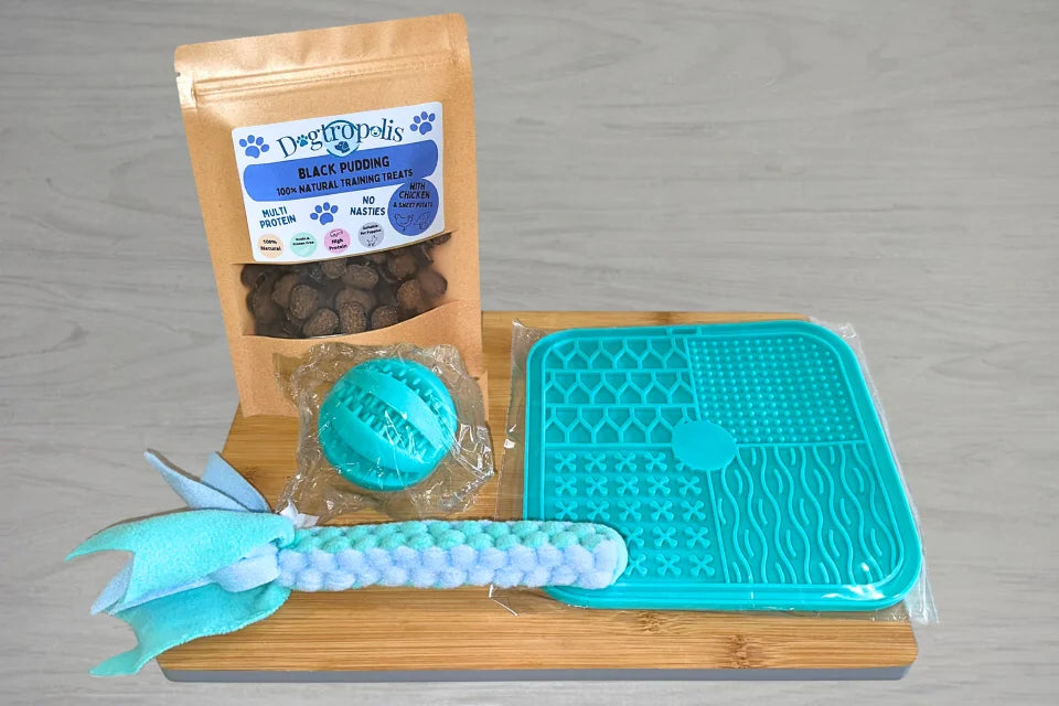 Dogtropolis Enrichment Bundle