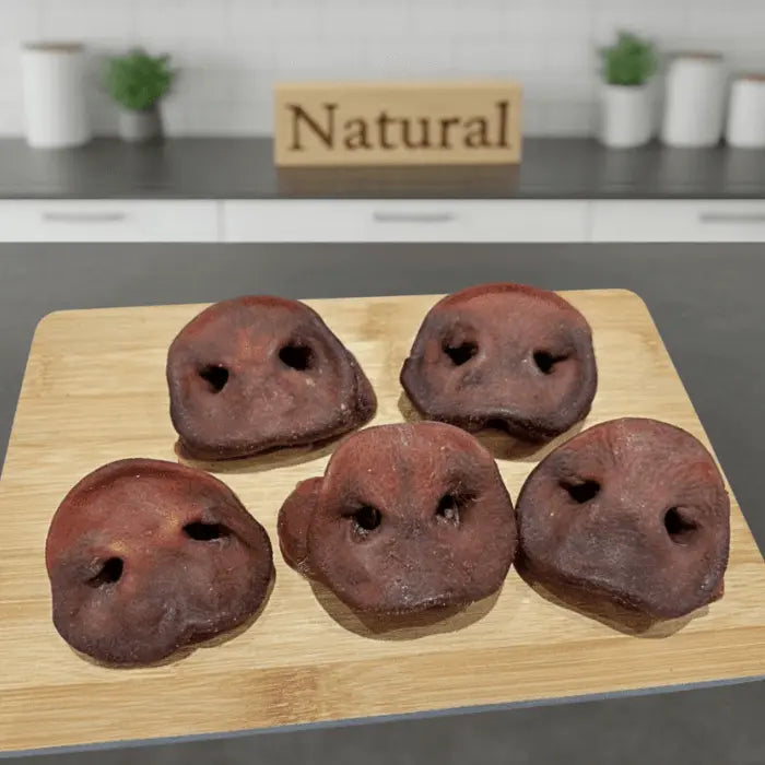 Pig Snouts for Dogs