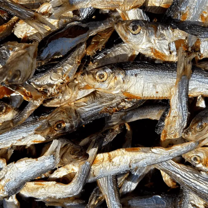 Sprats for Dogs