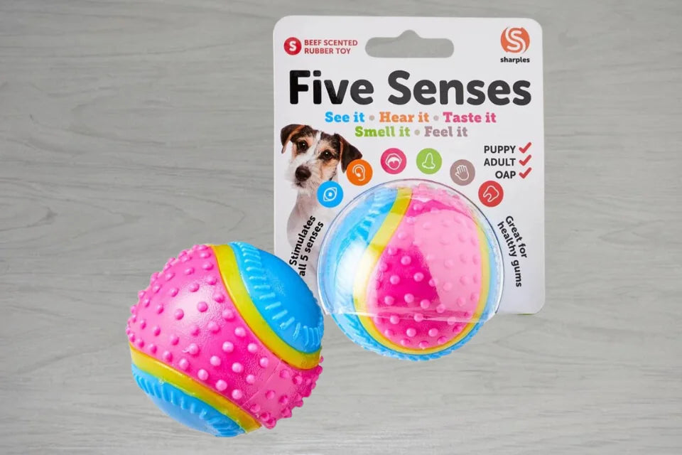 Five Senses Sensory Ball for Dogs