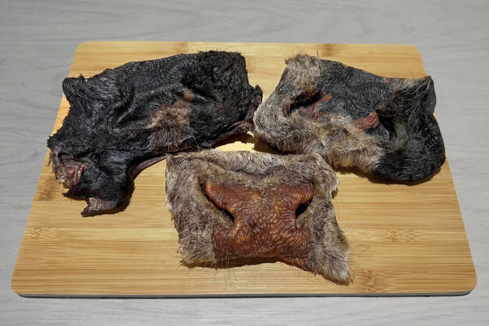 Jumbo Hairy Beef Snouts