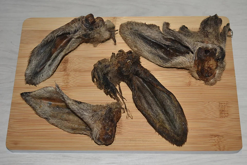 Hairy Lamb Ears for Dogs