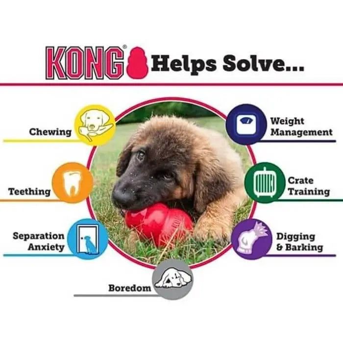 Kong Helps Solve