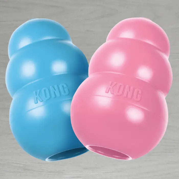 KONG Puppy