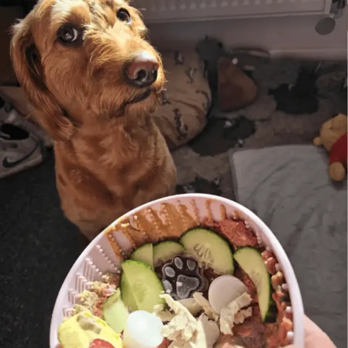 Customer with Lick Bowl