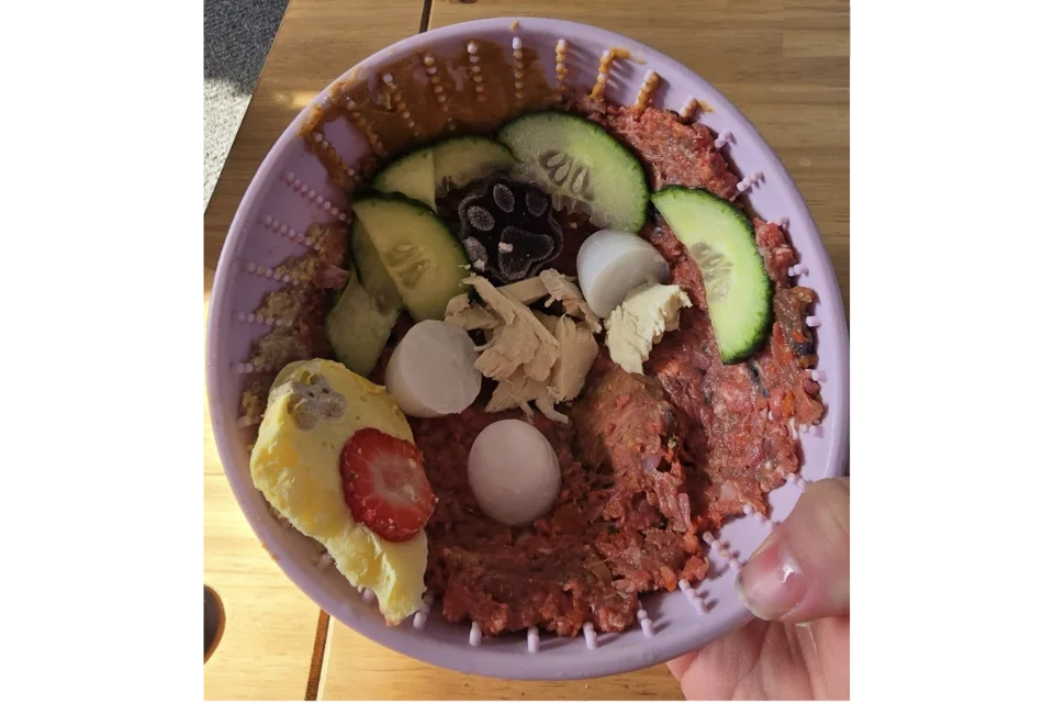 Lick Bowl Filled