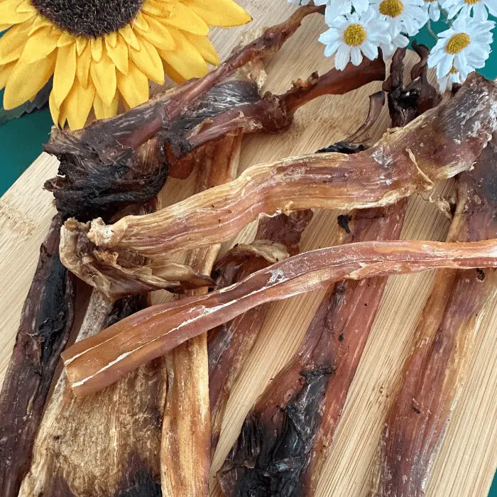 Ostrich Tendons