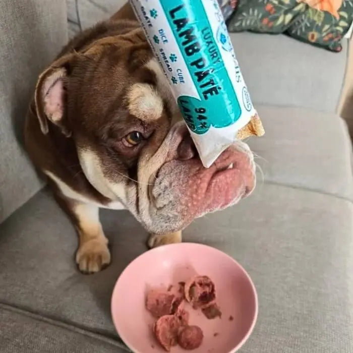 Customer Pate Review