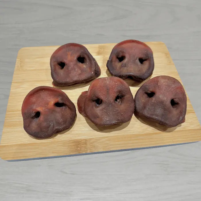 Pig Snouts for Dogs