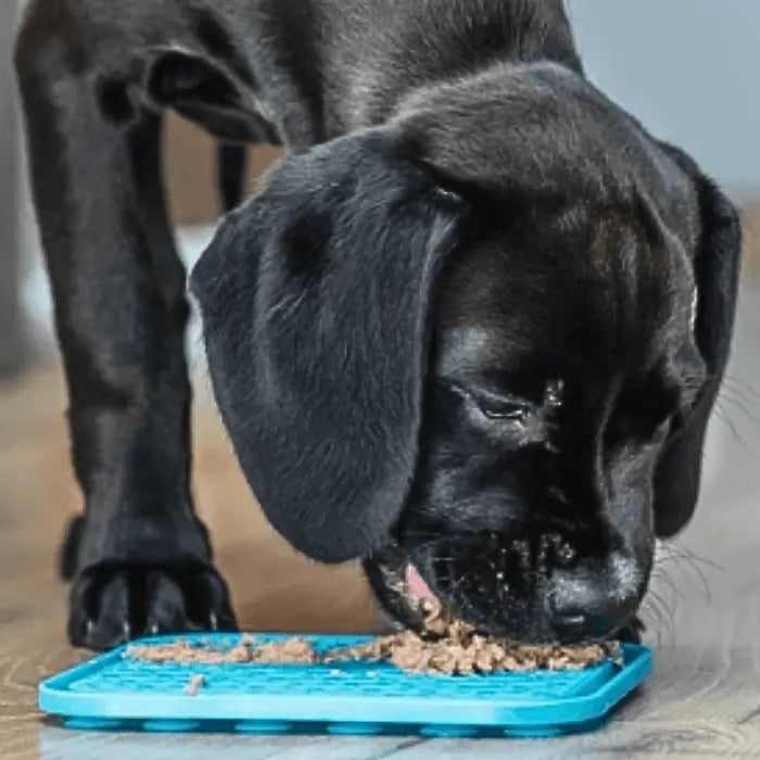 Puppy with Lick Mat