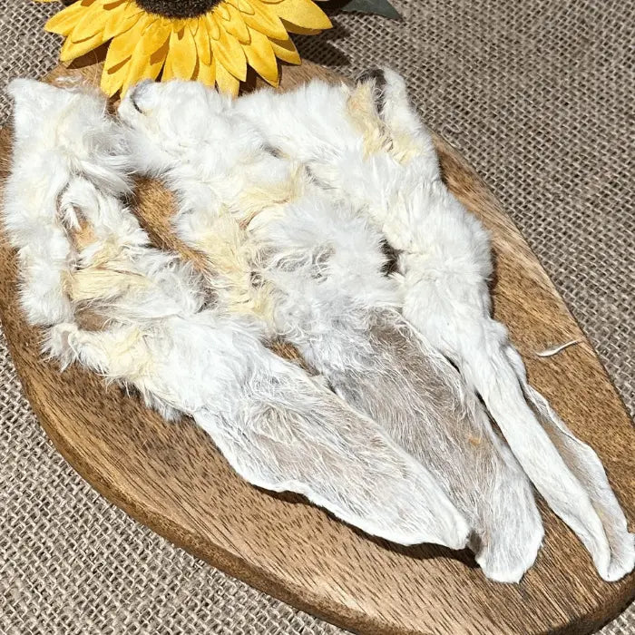 Rabbit Ears