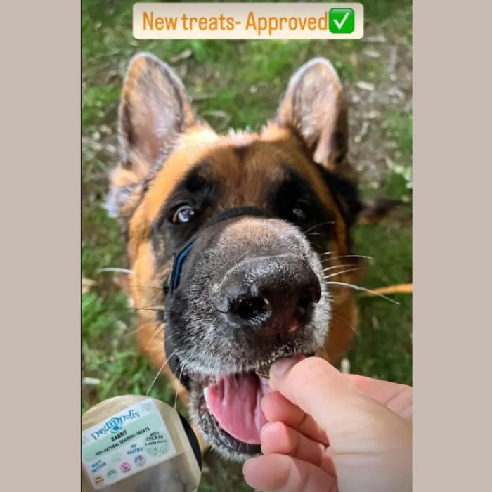 Dogtropolis Rabbit Training Treats