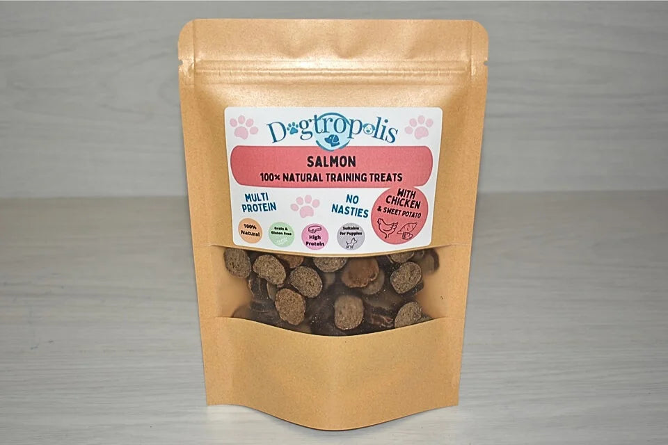 Salmon Training Treats for Dogs