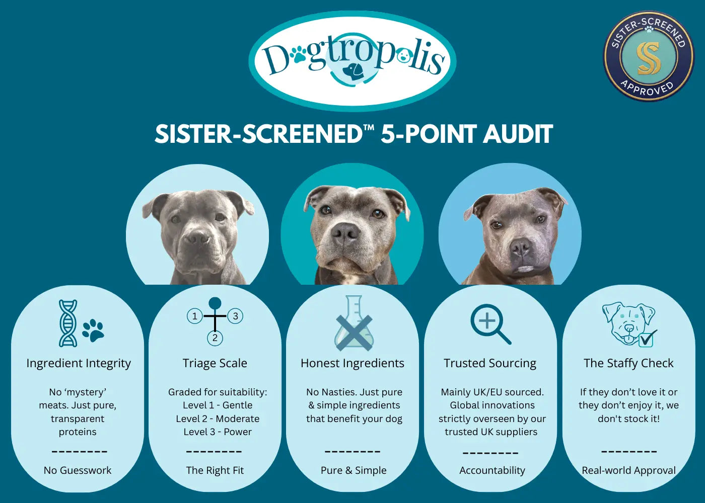 Sister-Screened-Audit