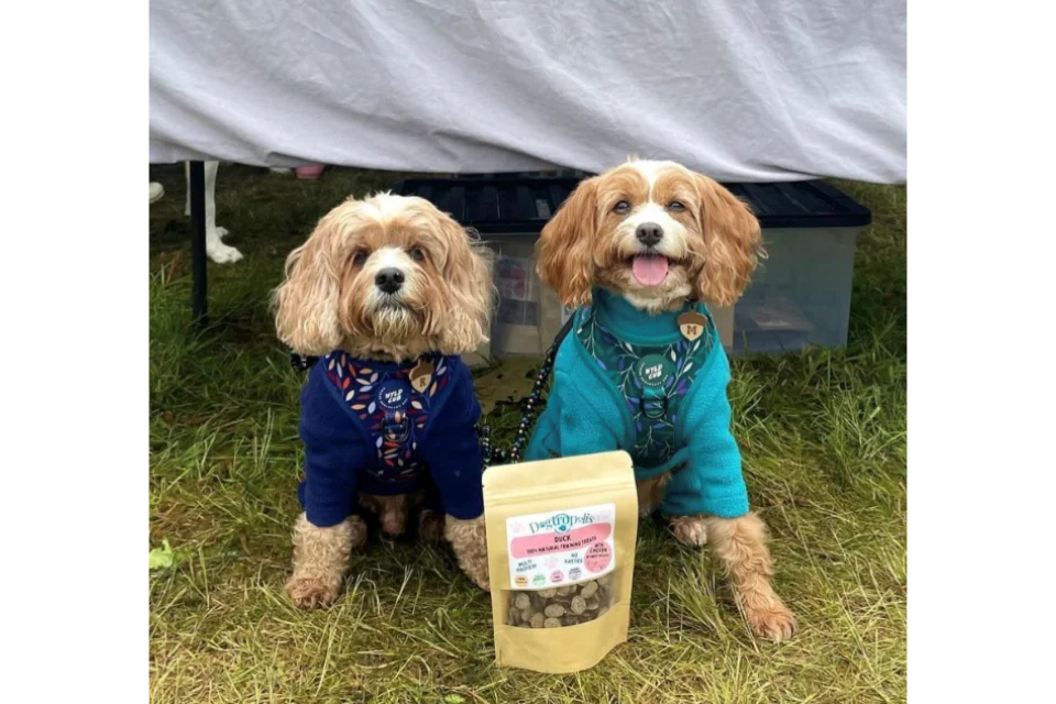 100% Natural Training Treats from Dogtropolis