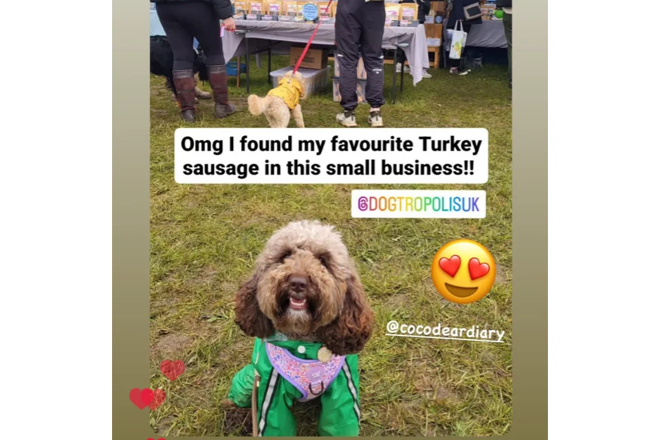 Social Media Pic for Turkey Sausages