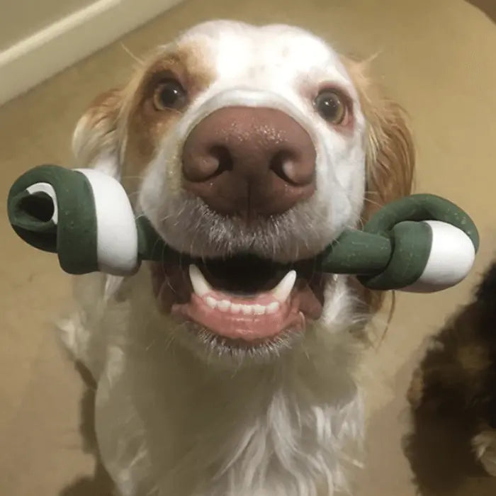 Veggie Knotted Bones for Dogs