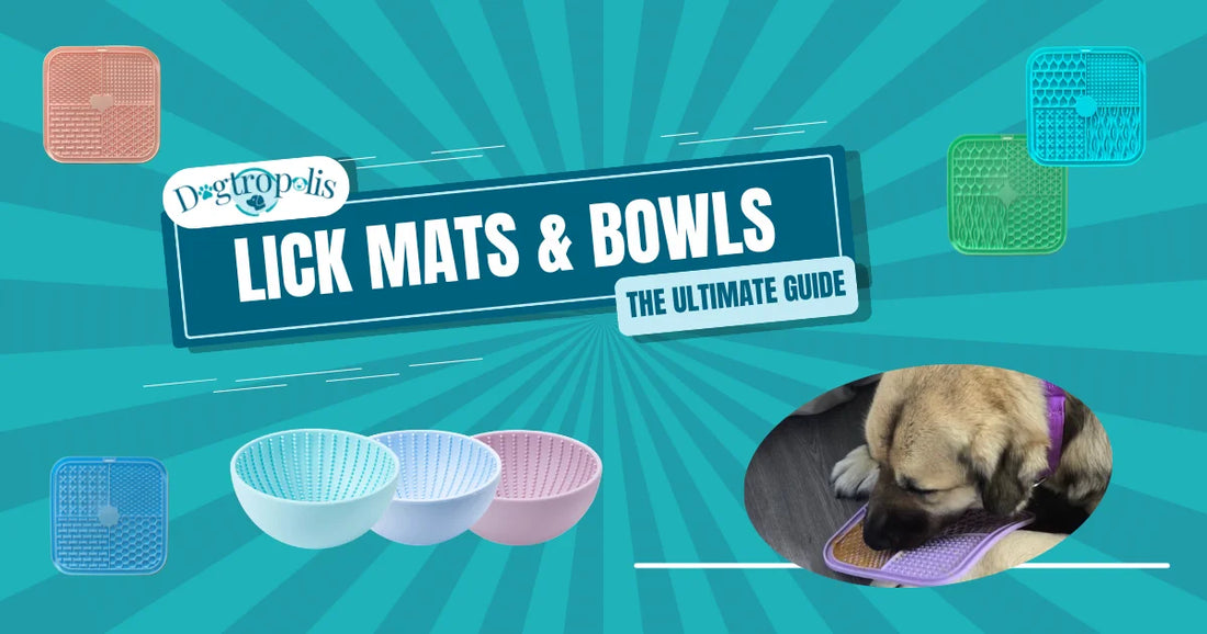 Lick Mats & Bowls for Dogs from Dogtropolis