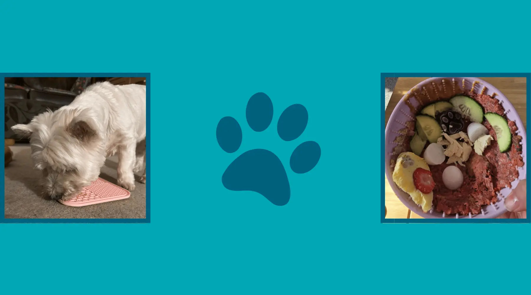 A Guide to Lick Mats & Bowls