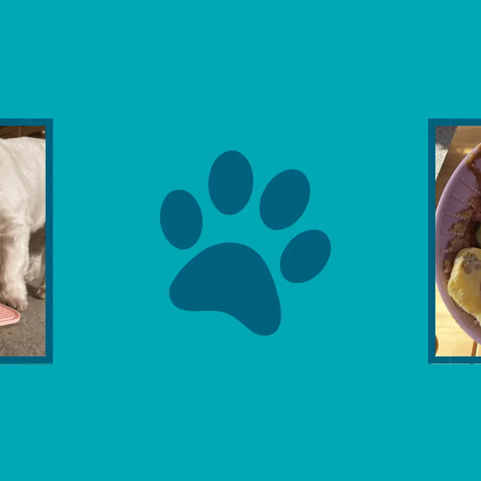 Lick Mats & Bowls for Dogs from Dogtropolis
