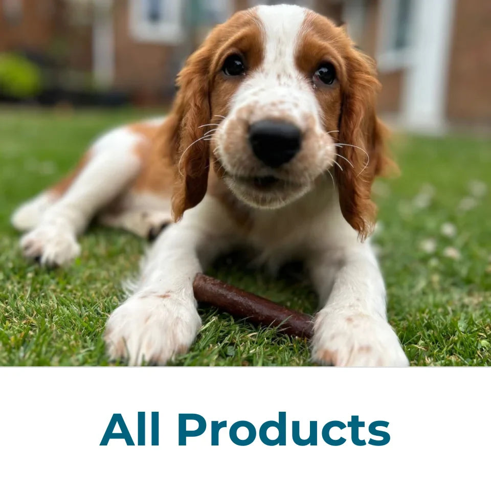 All Products