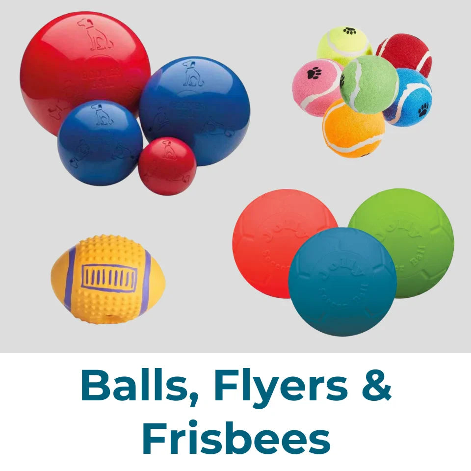 Balls, Flyers & Frisbees