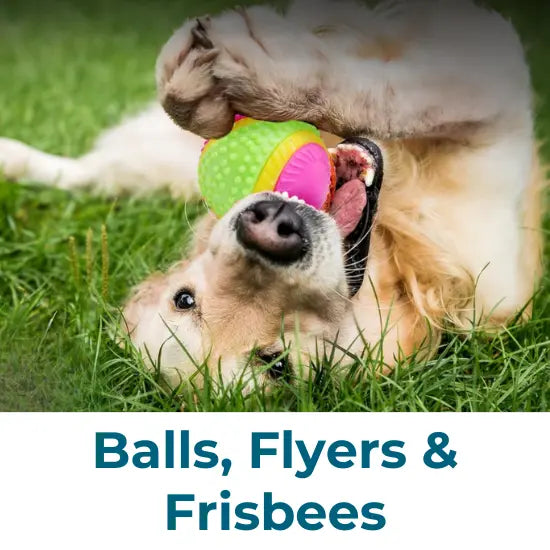 Balls, Flyers & Frisbees