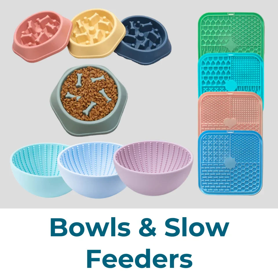 Dog Bowls & Slow Feeders