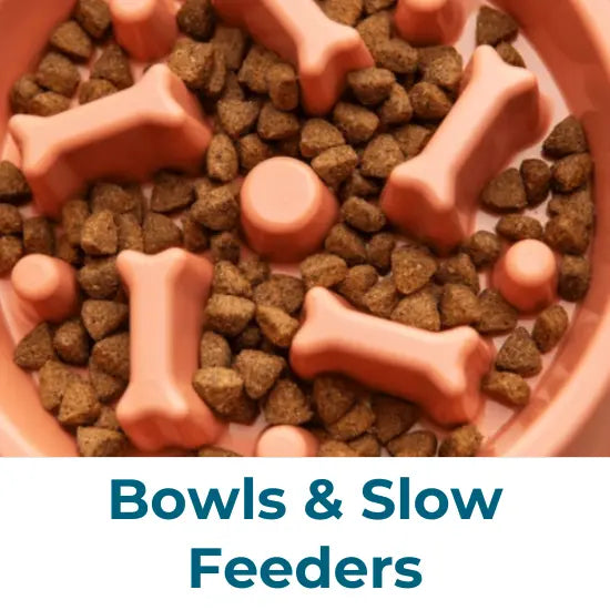 Dog Bowls & Slow Feeders