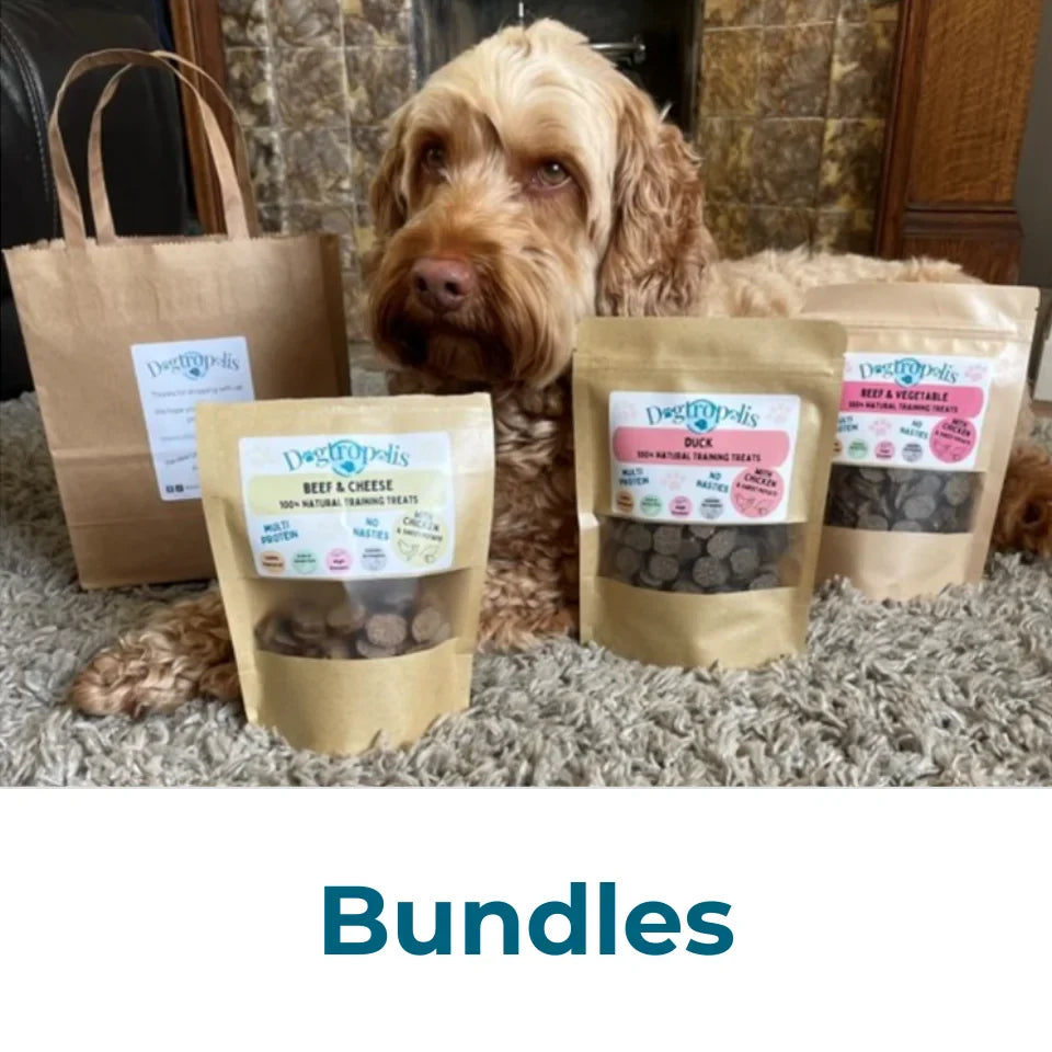 Bundles