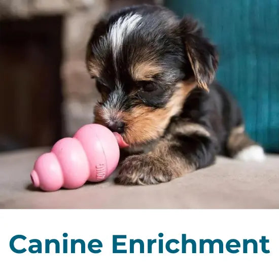 Canine Enrichment Collection