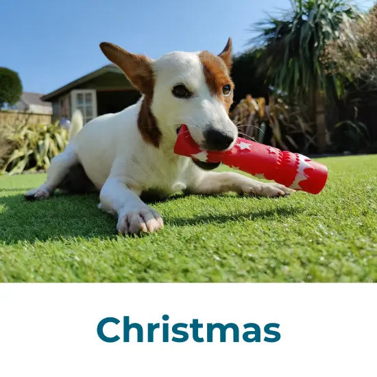 Christmas Collection