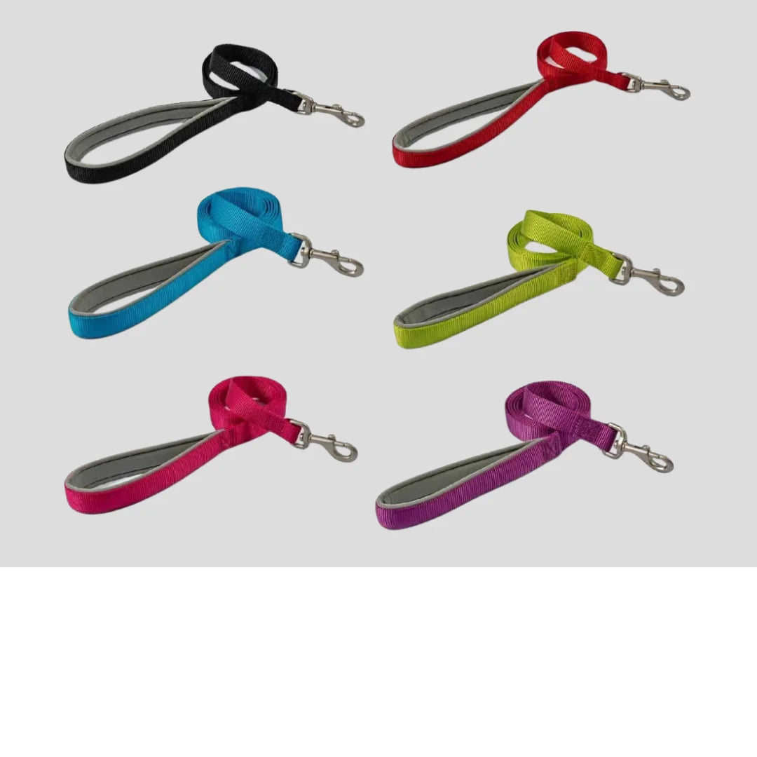 Dog Leads, Collars & Harnesses