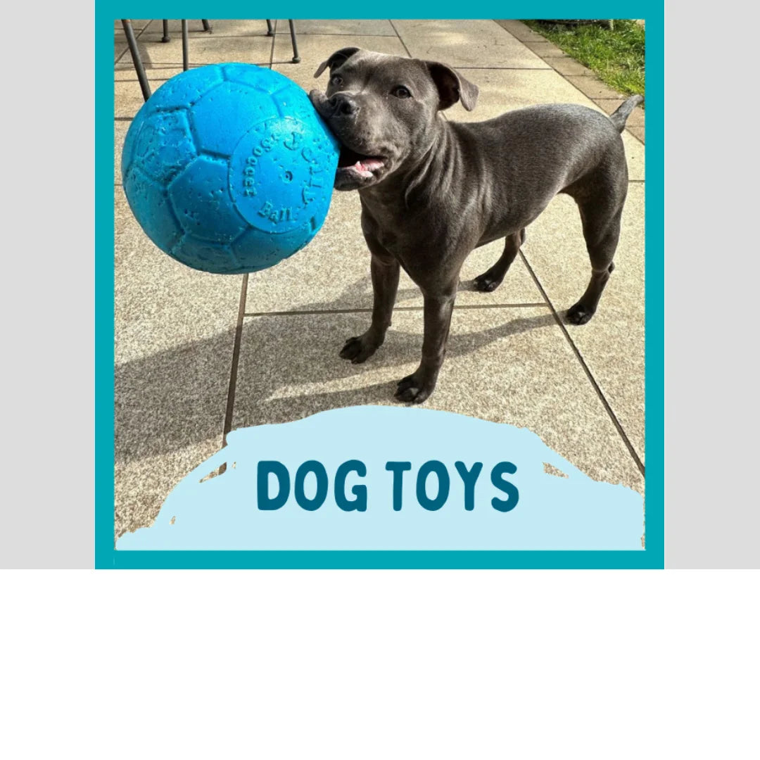 Dog Toys