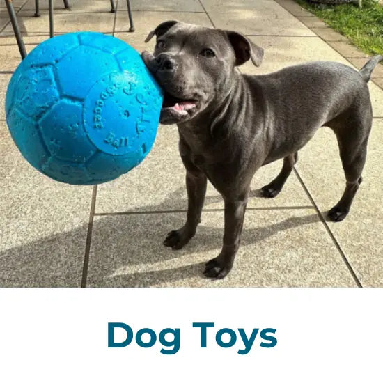 Dog Toys Collection