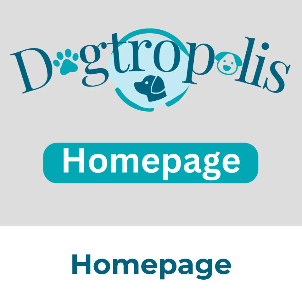 Home page