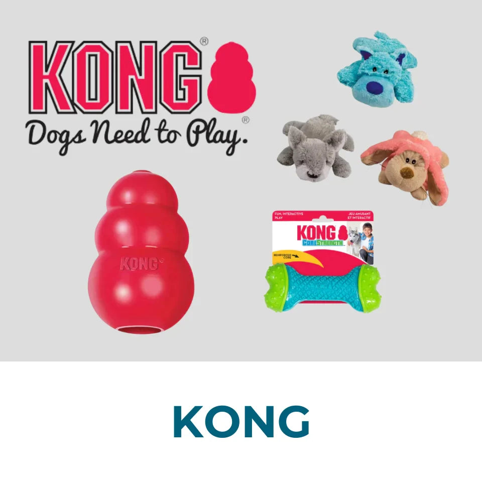 KONG