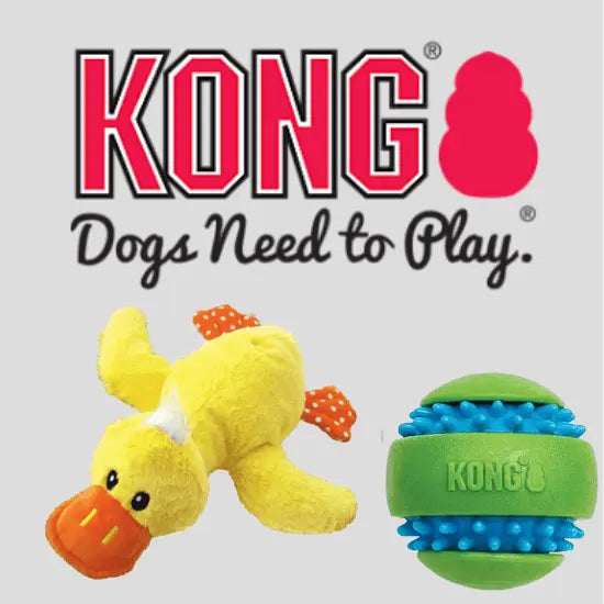 KONG Toys
