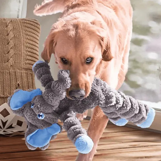 Plush Toys for Dogs