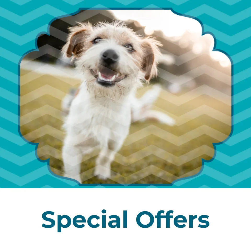 Special Offers