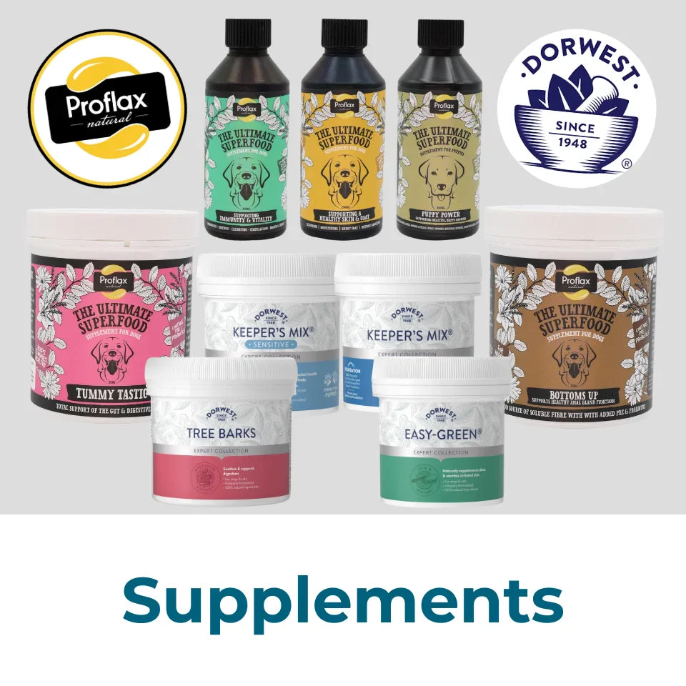 Dog Supplements