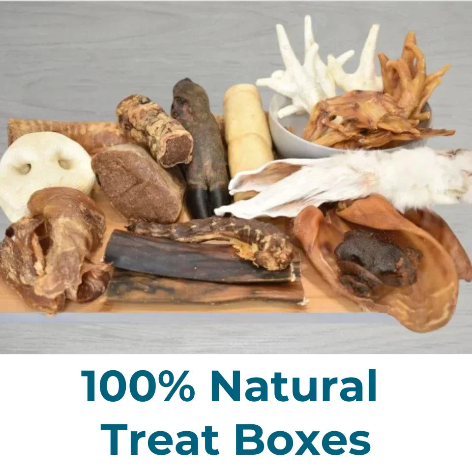 100% Natural Treat Boxes