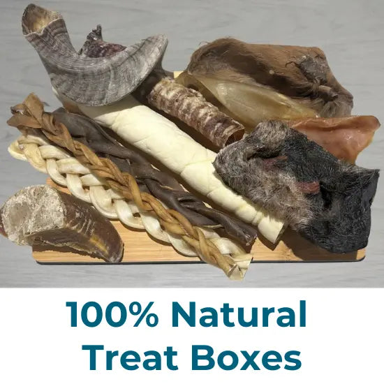 100% Natural Treat Boxes