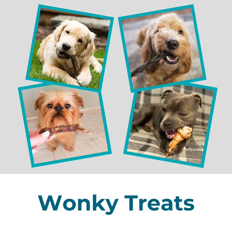 Wonky Treats Collection