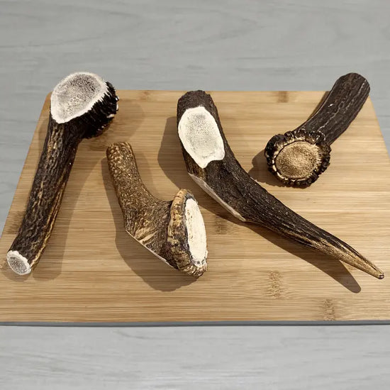 Antler Dog Chew
